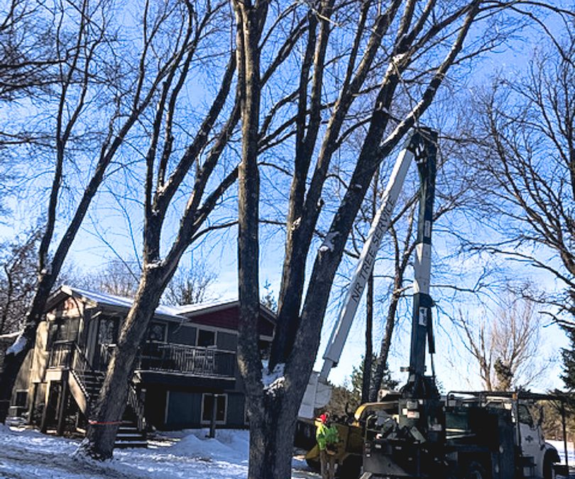 Somerset WI – Tree Removal