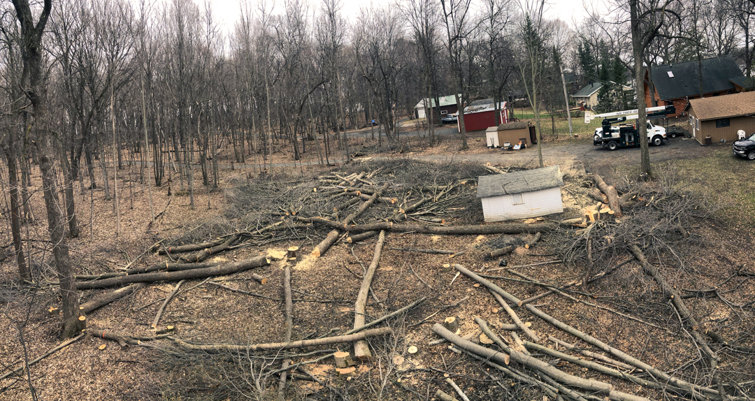 Lot Clearing – Amery WI