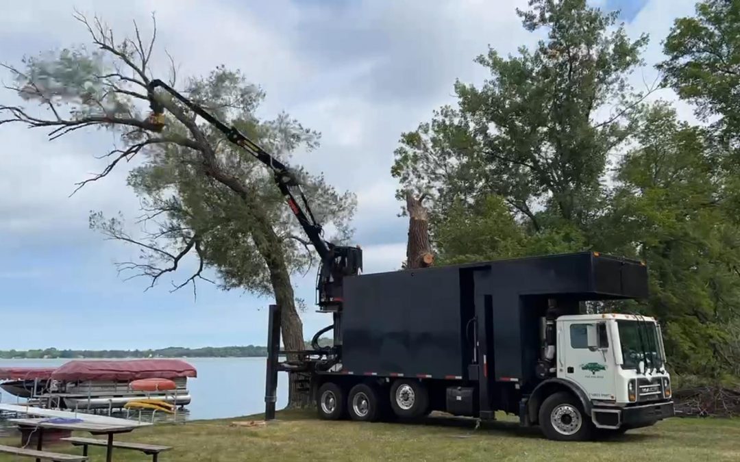 Cedar Lake WI Tree Service