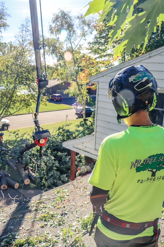 Remote Controlled Tree Removal.